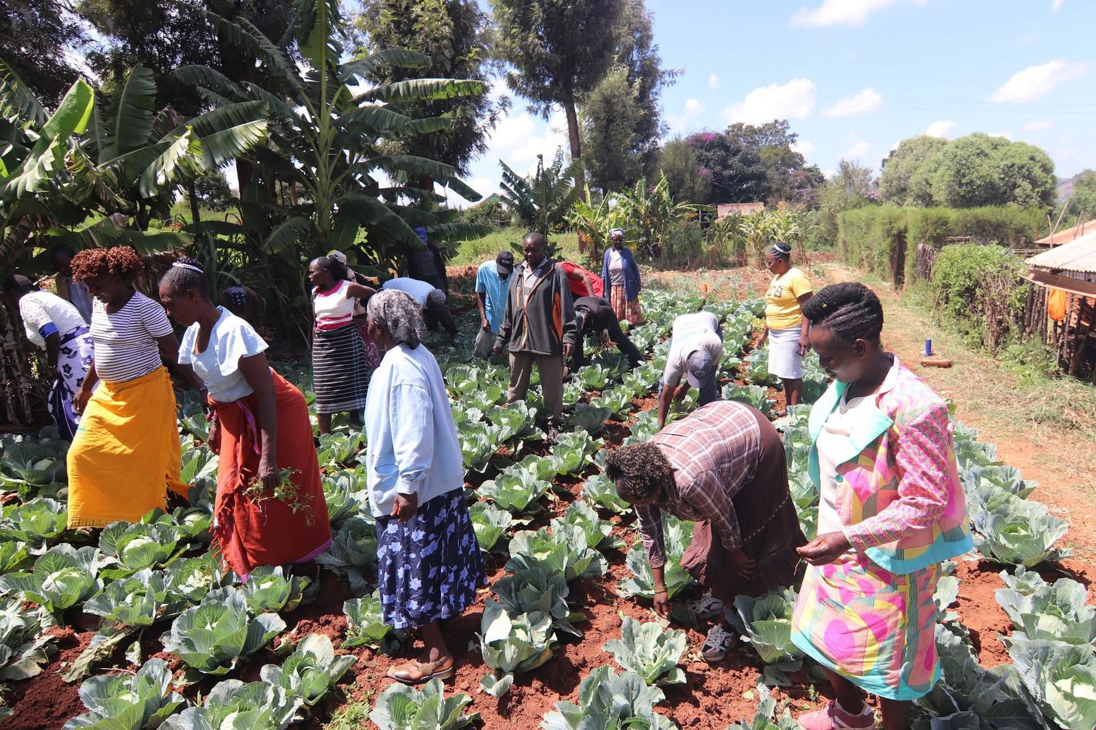 Sustainable Agriculture